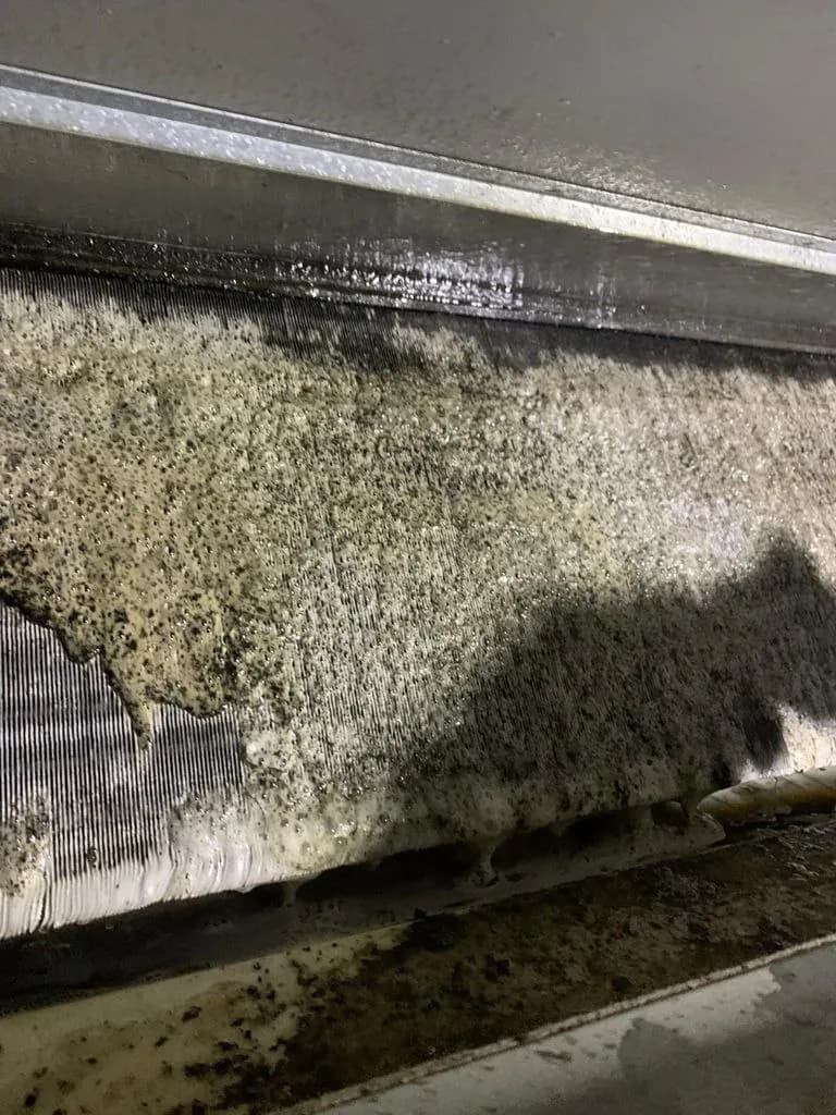 Evaporator coil fins with visible mould growth before chemical wash