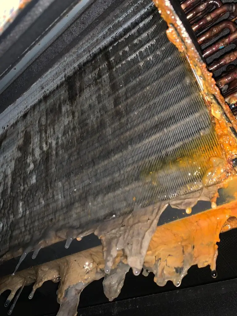 Evaporator coil caked with sludge and grime before a chemical overhaul deep clean.